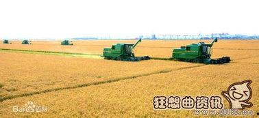 黑龙江农场爆料事件最新,揭露背后惊人真相  第3张